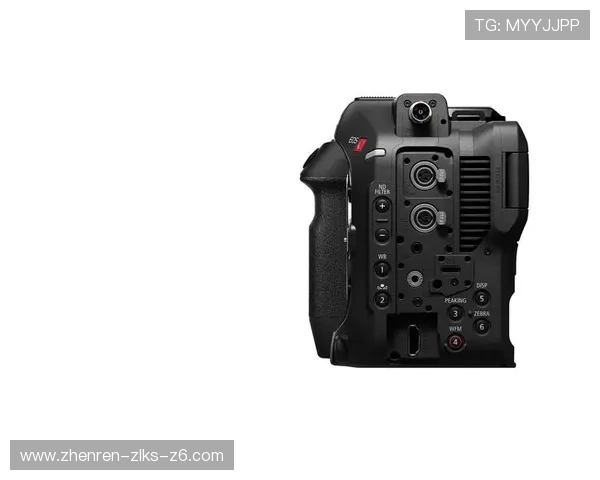 尊龙手机官方客户端下载安装步骤，轻松掌握每个环节确保顺利使用