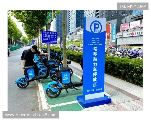 尊龙爱导航：打造个性化导航服务满足不同用户的出行需求