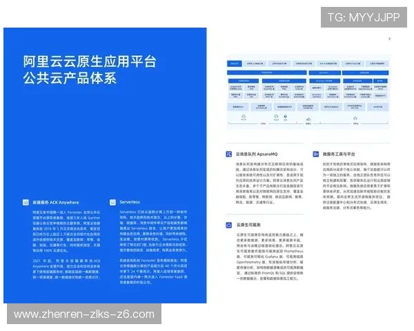 如何轻松访问开云官方网页进行最新产品查询