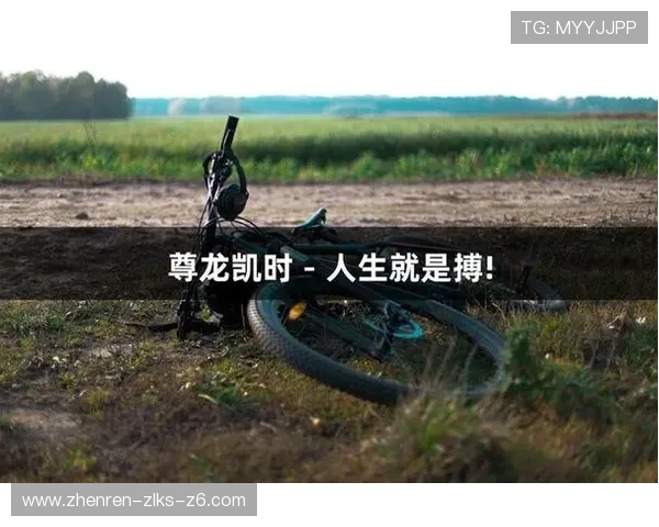 尊龙凯时人生就是博:深度解析游戏中的人生哲理与成长路径